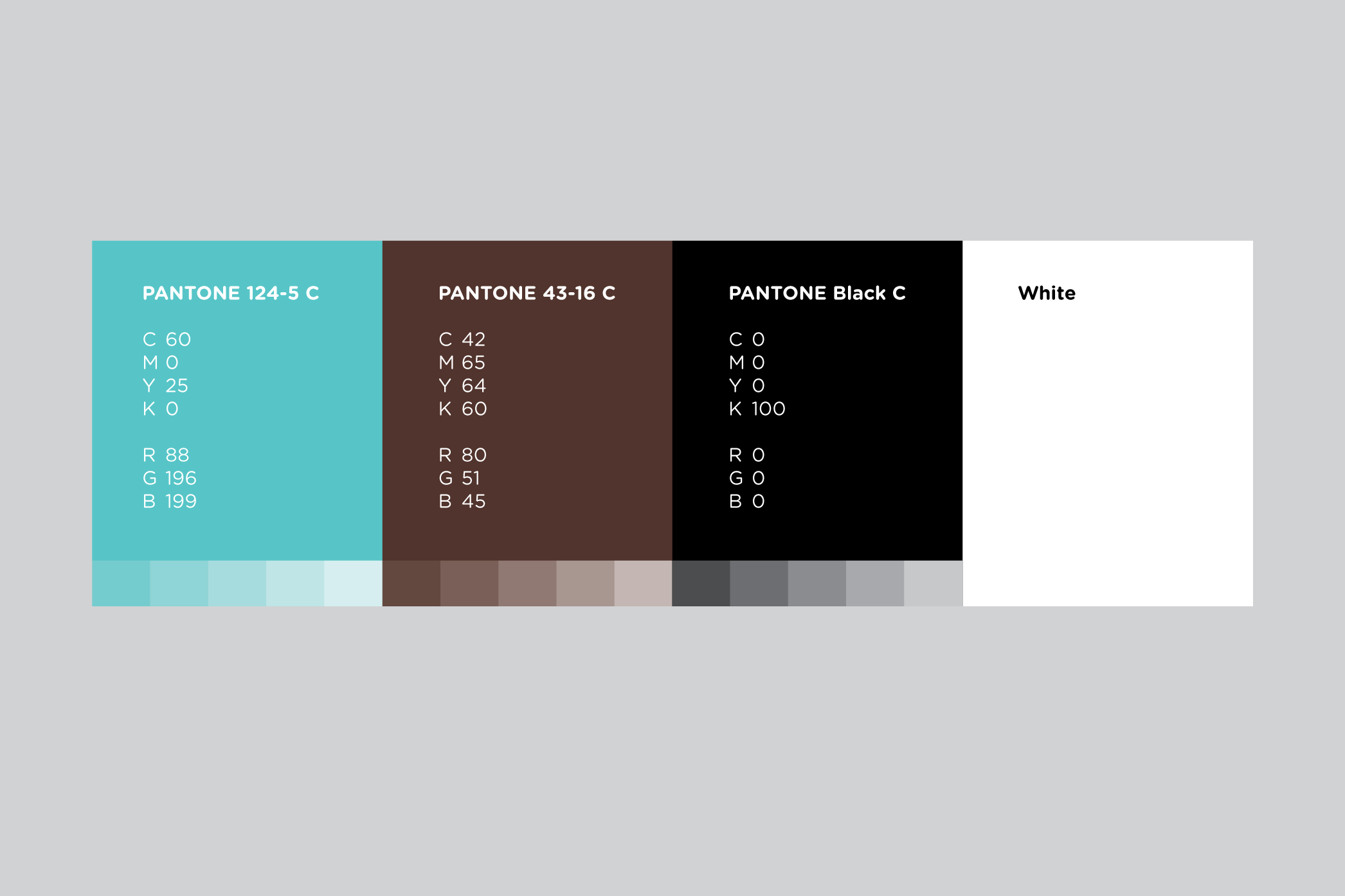 chocomint-swatch