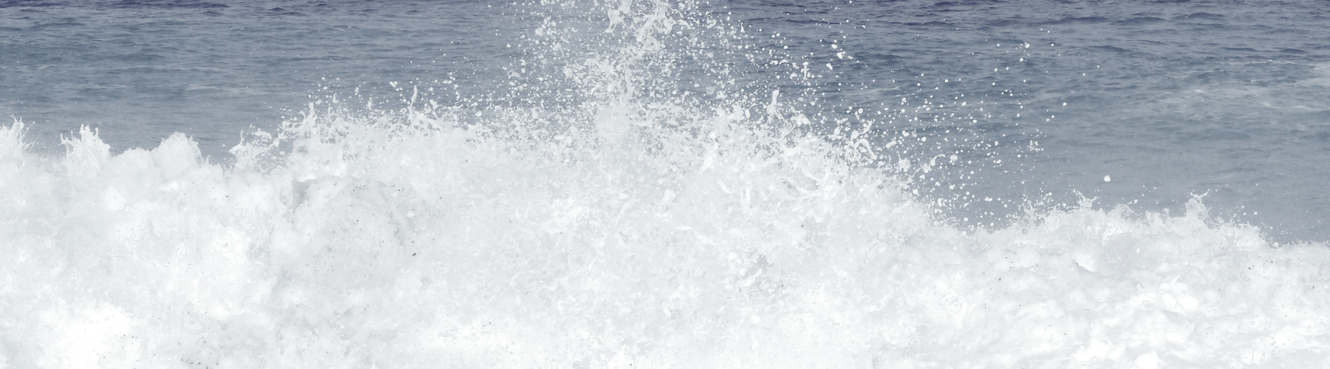 blog-banner